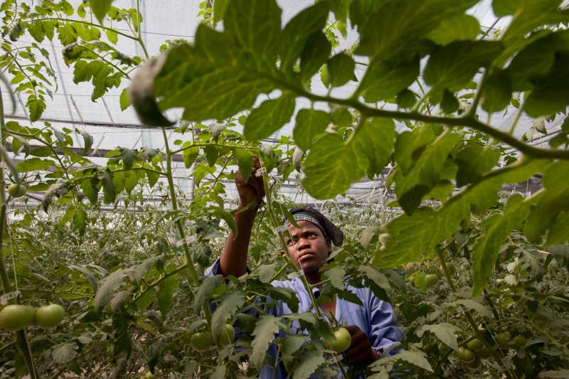Croissance libérée